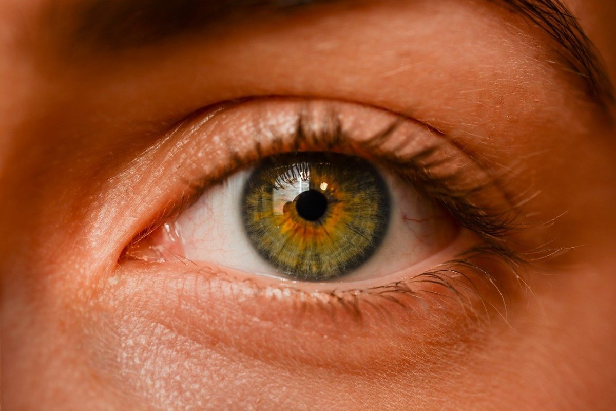 Oczy to jednostkowy organ. To dokładnie dzięki nim odczuwamy.